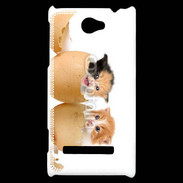 Coque HTC Windows Phone 8S Chaton dans des coquilles d'oeuf