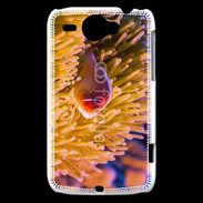 Coque HTC Wildfire G8 Poisson tropical 15