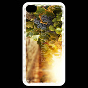 Coque iPhone 4 / iPhone 4S Pied de vigne en automne