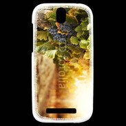 Coque HTC One SV Pied de vigne en automne