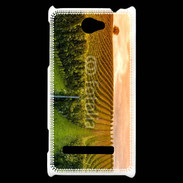 Coque HTC Windows Phone 8S Viticulture en automne