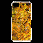 Coque Blackberry Z10 Arbres en automne
