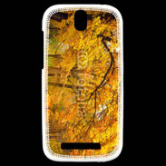 Coque HTC One SV Arbres en automne