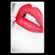 Etui carte bancaire bouche sexy rouge à lèvre gloss crayon contour