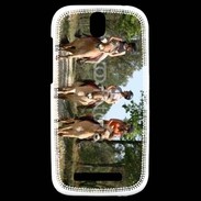 Coque HTC One SV Ballade à cheval