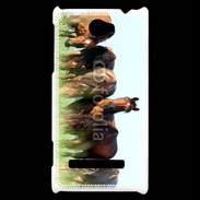 Coque HTC Windows Phone 8S Groupe de chevaux
