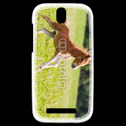 Coque HTC One SV Poulain 2
