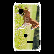 Coque Sony Xperia Typo Poulain 2