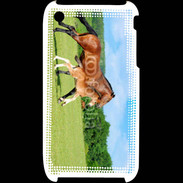 Coque iPhone 3G / 3GS Cheval et poulain 2