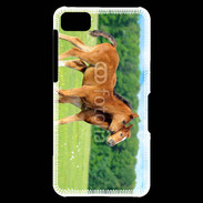 Coque Blackberry Z10 Poulains