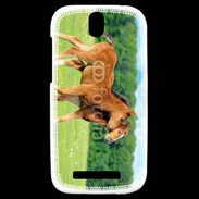Coque HTC One SV Poulains