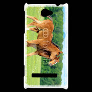 Coque HTC Windows Phone 8S Poulains