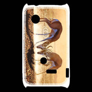 Coque Sony Xperia Typo Duel de springbok