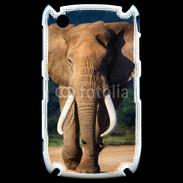 Coque Blackberry 8520 Éléphant de face