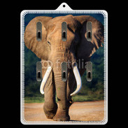 Porte clés Éléphant de face