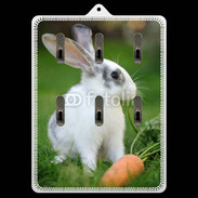 Porte clés Lapin et carotte