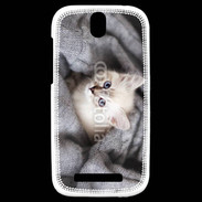 Coque HTC One SV Chaton aux yeux bleus 10