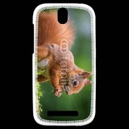 Coque HTC One SV Ecureuil avec des noisettes