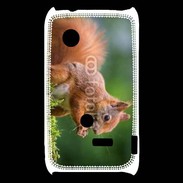 Coque Sony Xperia Typo Ecureuil avec des noisettes