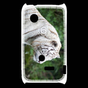 Coque Sony Xperia Typo Magnifique tigre blanc