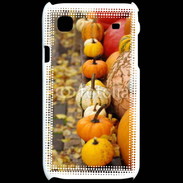 Coque Samsung Galaxy S Citrouilles