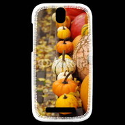 Coque HTC One SV Citrouilles