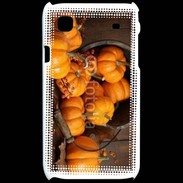 Coque Samsung Galaxy S Citrouilles 2