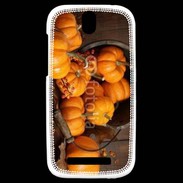 Coque HTC One SV Citrouilles 2