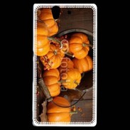 Coque Sony Xperia Z Citrouilles 2