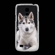 Coque Samsung Galaxy S4mini Chien Husky de Sibérie
