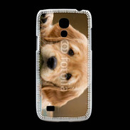 Coque Samsung Galaxy S4mini Chiot labrador golden 2