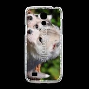 Coque Samsung Galaxy S4mini Chiot Husky de Sibérie 3