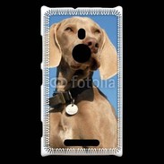 Coque Nokia Lumia 925 Chien de chasse Braque