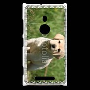 Coque Nokia Lumia 925 Mignon petit labrador