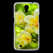 Coque Samsung Galaxy Mega Fleurs Frangipane