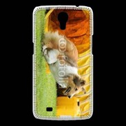 Coque Samsung Galaxy Mega Agility Colley