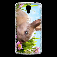 Coque Samsung Galaxy Mega Lapin et fleurs