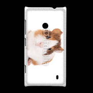 Coque Nokia Lumia 520 Cochon d'inde 2