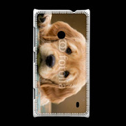 Coque Nokia Lumia 520 Chiot labrador golden 2