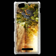 Coque Sony Xperia M Pied de vigne en automne