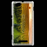 Coque Sony Xperia M Viticulture en automne