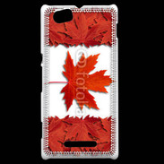 Coque Sony Xperia M Canada en feuilles