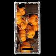 Coque Sony Xperia M Citrouilles 2