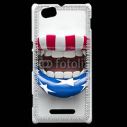 Coque Sony Xperia M Lèvres USA