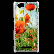 Coque Sony Xperia M Champs de coquelicots