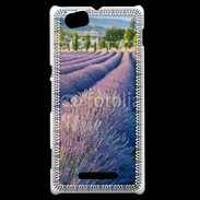 Coque Sony Xperia M La lavande en Provence