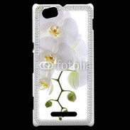 Coque Sony Xperia M Orchidée blanche