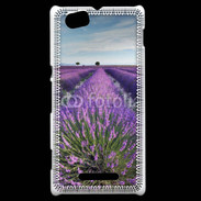 Coque Sony Xperia M Champs de lavande 5