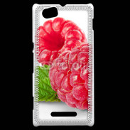 Coque Sony Xperia M Belles framboises