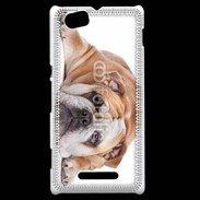 Coque Sony Xperia M Bulldog anglais 2